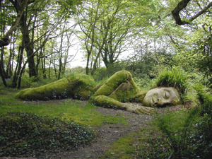 the lost gardens of heligan 1