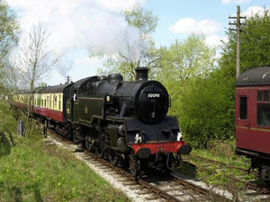 the midland railway  butterley 1