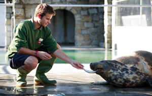the national seal sanctuary 1