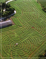 the original great maze 1