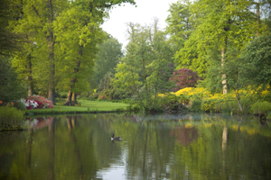 the savill garden 1