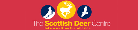 the scottish deer centre 1