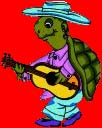 the tortoise garden 1