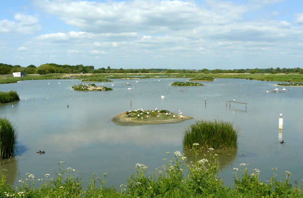 titchfield haven national nature reserve and visitor centre 1