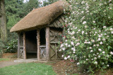trelissick garden 1
