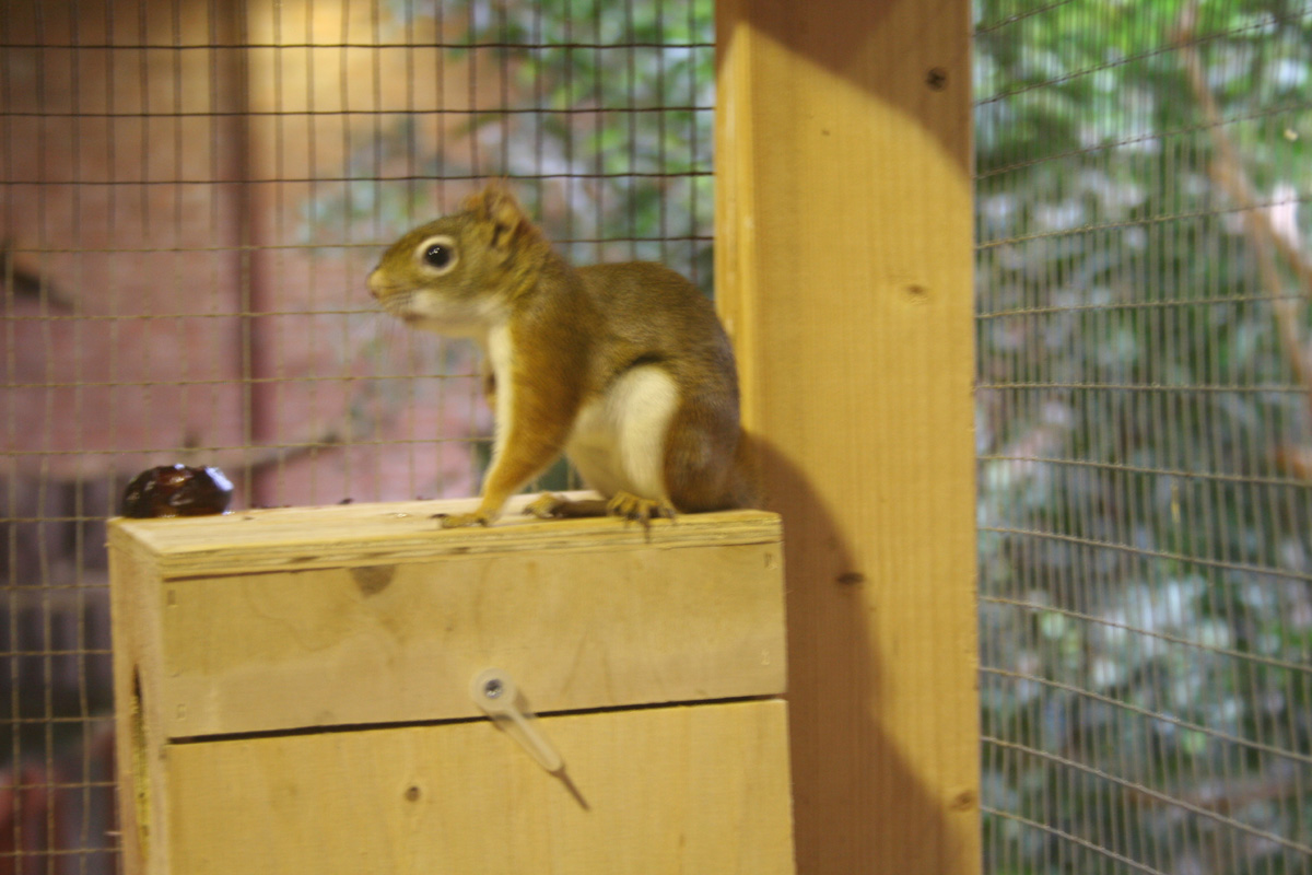 tropiquaria zoo 1