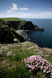 troup head nature reserve 1