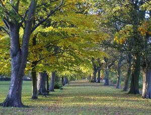 tyne green country park 1
