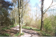 ufton fields nature reserve 1
