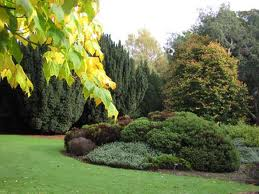 university of dundee botanic garden 1