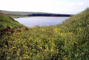upper coldwell reservoir 1