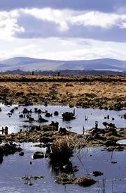 vane farm nature reserve 1
