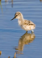 vange marshes nature reserve 1