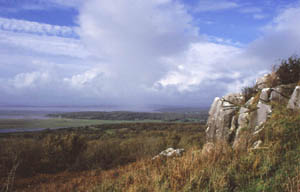 warton crag nature reserve 1
