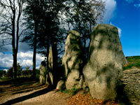 waylands smithy 1