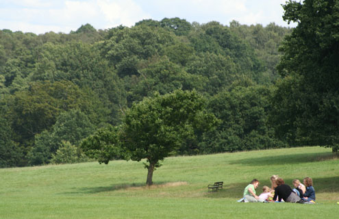 weald country park 1