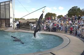whipsnade zoo zsl 1