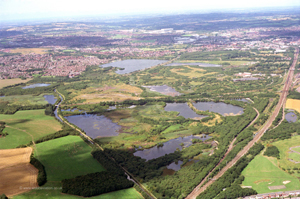 wigan flashes 1