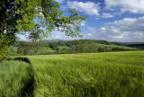 wilderhope manor 1