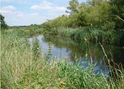 winnall moors 1