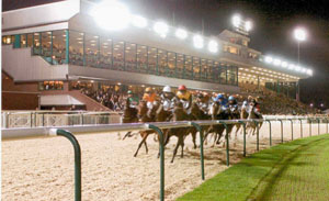 wolverhampton racecourse 1