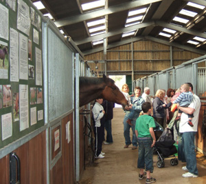 world horse welfare penny farm 1